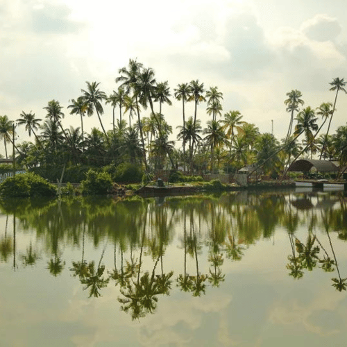 Kumbalanghi