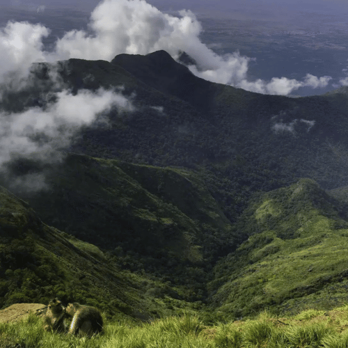 Green Valley View