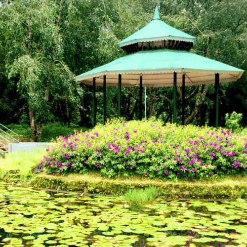 Blossom Hydel Park