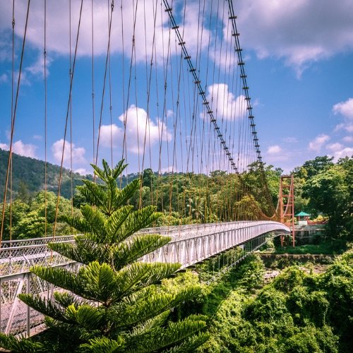 Hanging Bridge